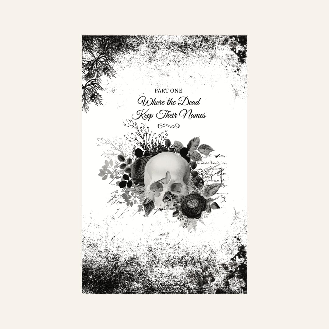 Shadows of Rio I Dark Folktales & Where to Find Them Paper products Caipora Books 